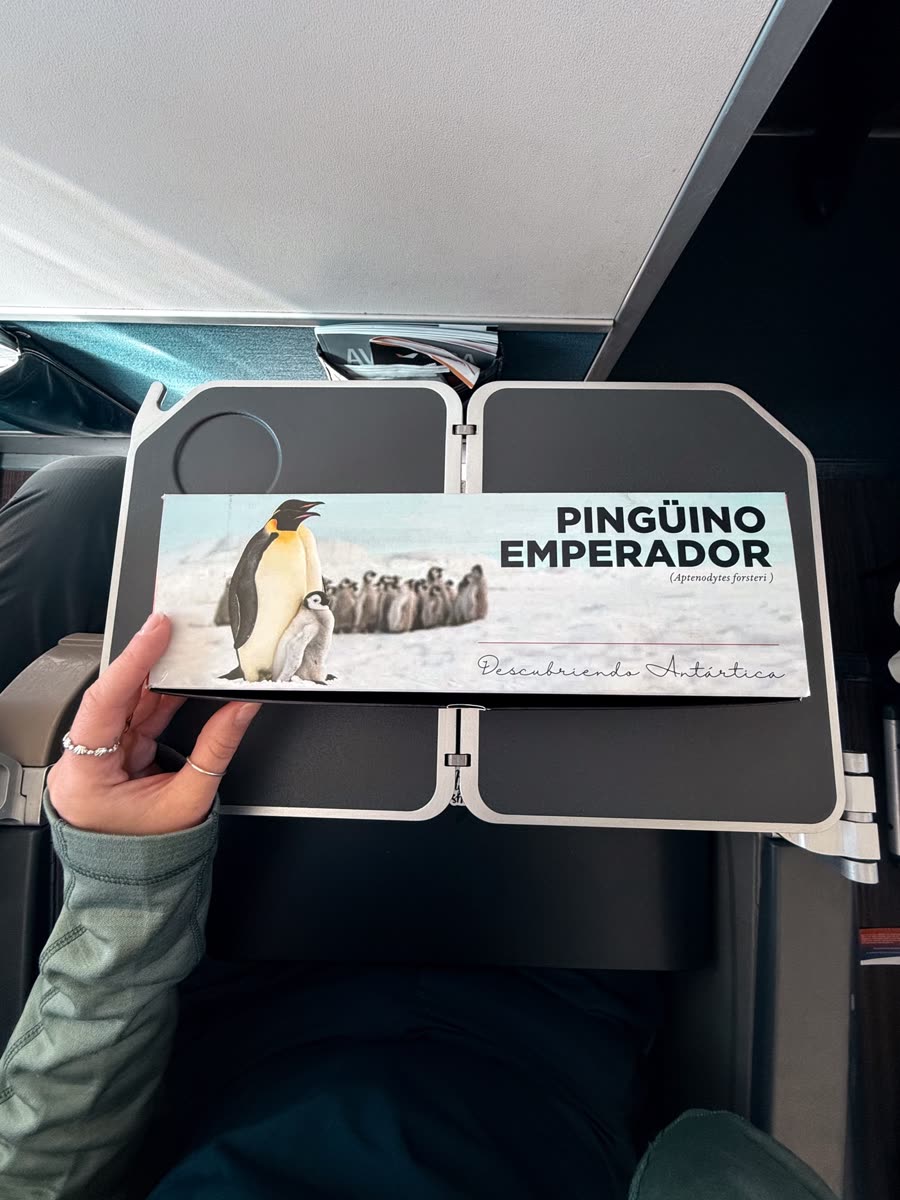 Impression 3 — Foto: Antarctica21