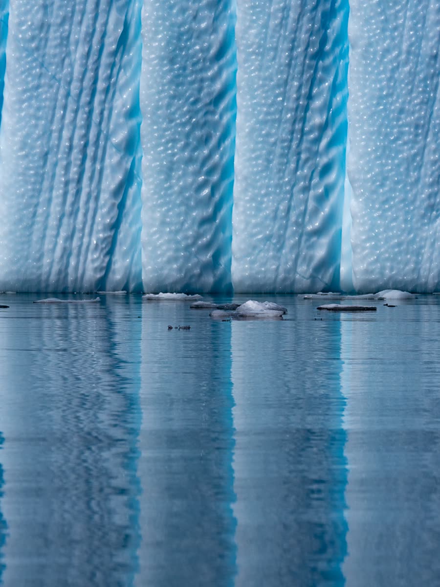 Impression 7 — Foto: Antarctica21