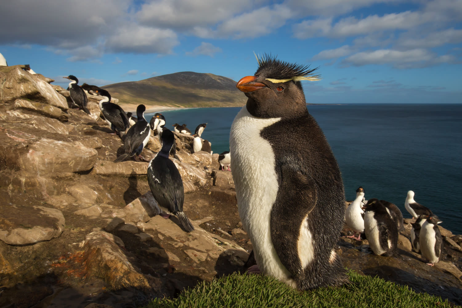 Impression 4 — Foto: Antarctica21