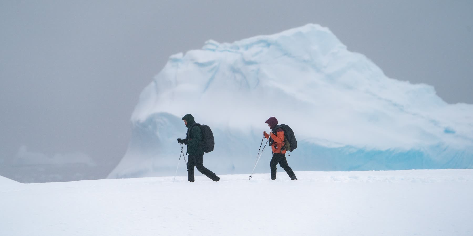Impression 5 — Foto: Antarctica21