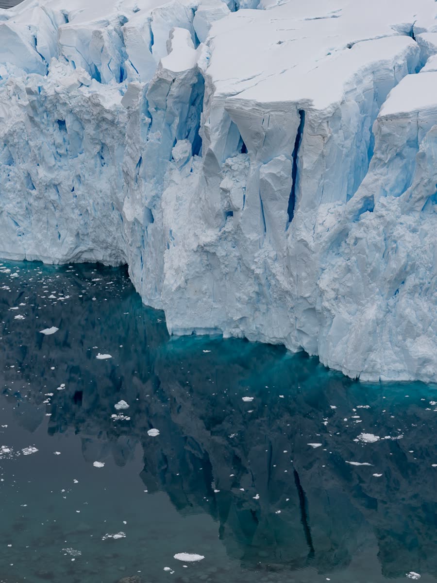 Impression 7 — Foto: Antarctica21