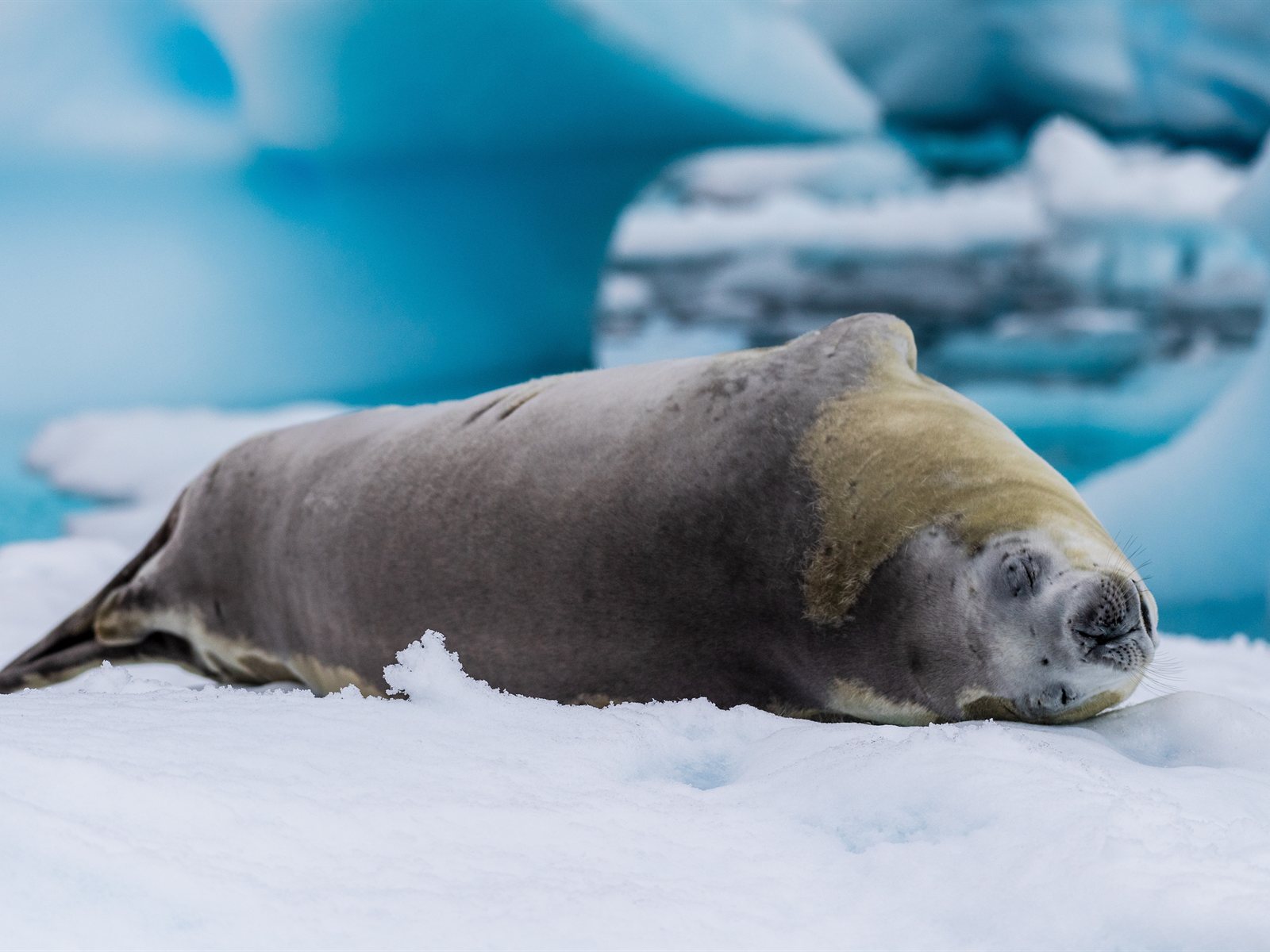 Foto: Shutterstock
