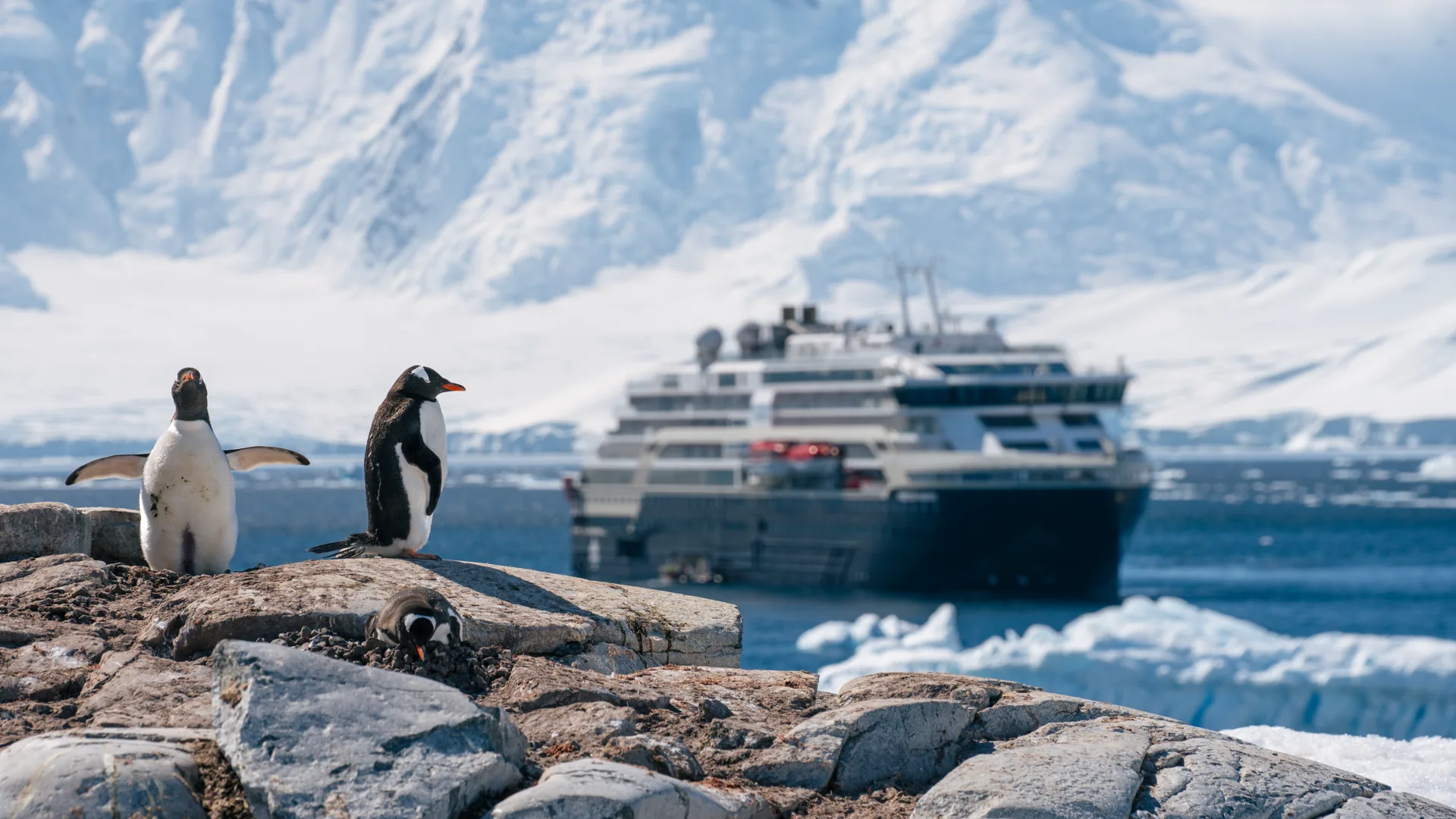 Unvergleichliche Antarktis Kreuzfahrt – Die Route der Entdecker | MS FRIDTJOF NANSEN