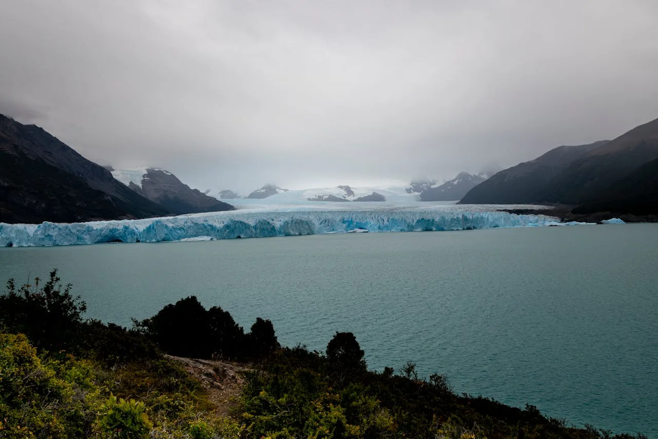 Gletscher am Fjord
