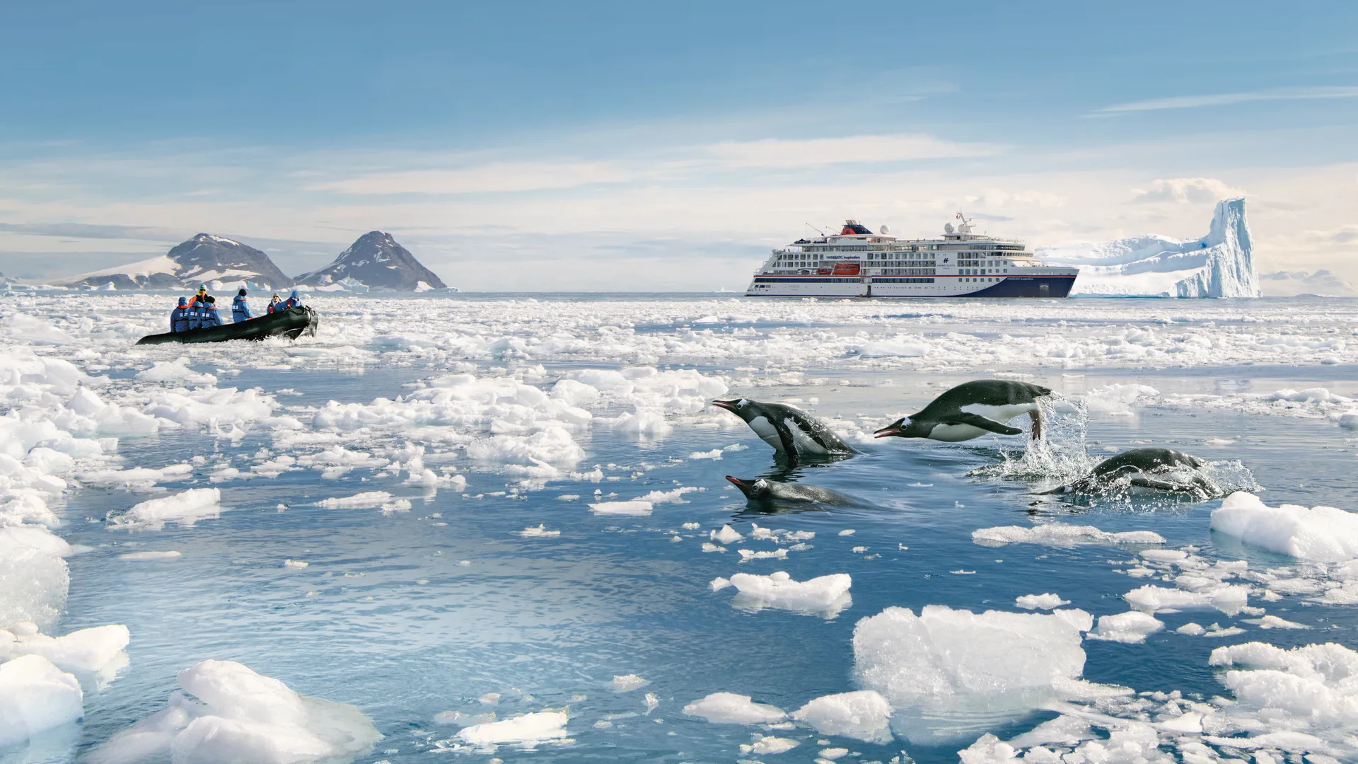 Expedition Antarktis: Höhepunkte intensiv