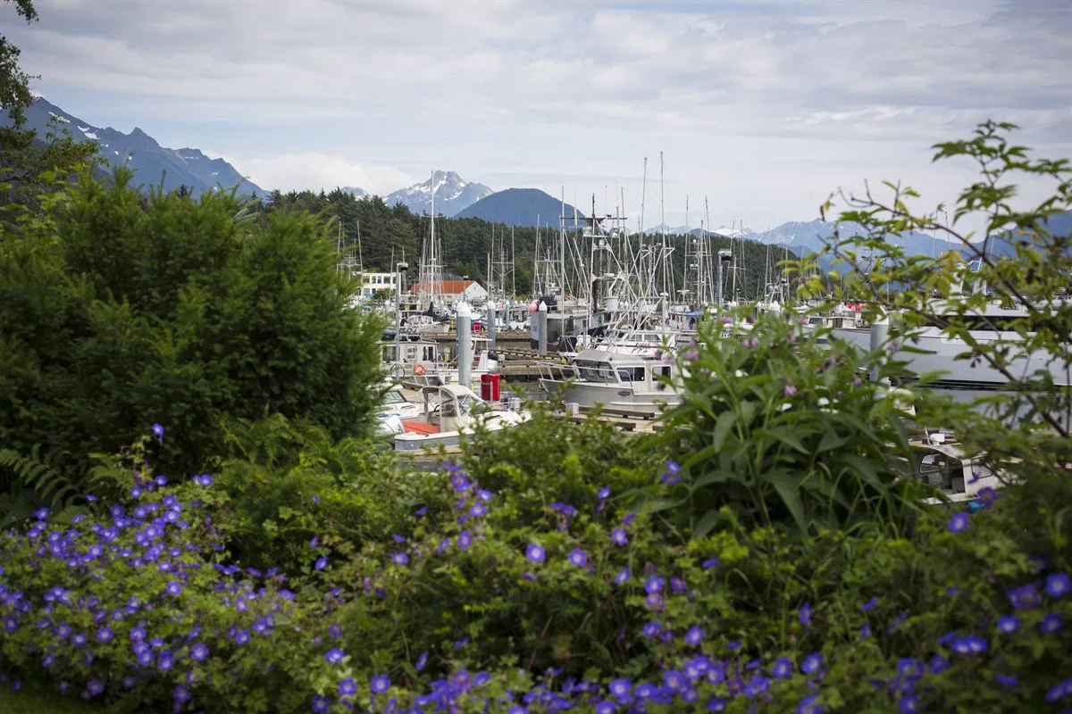 Im Hafen von Sitka · Foto: Jonathan Tramontana / Hurtigruten