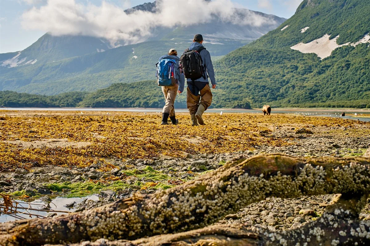 Braunbären im Katmai-Nationalpark · Foto: Ashton Ray Hansen
