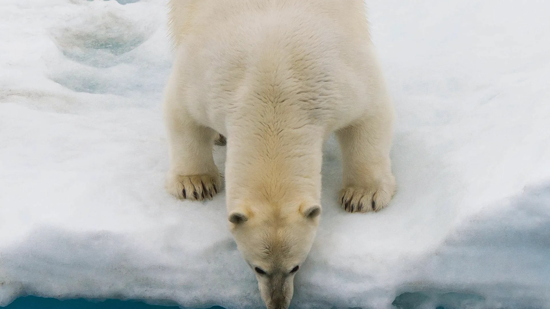 Expedition Spitzbergen-Umrundung: Unser Entdeckerklassiker