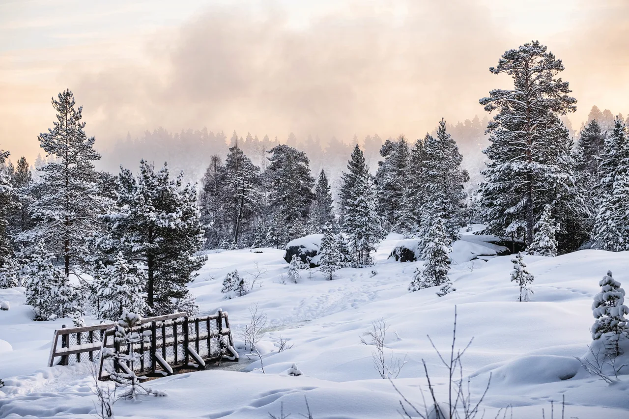Norwegens Küste