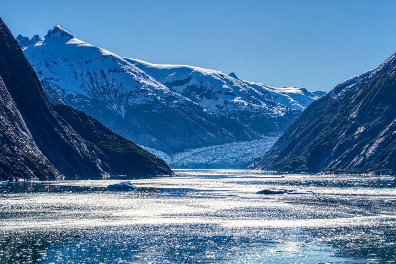 Gletscher am Fjordende