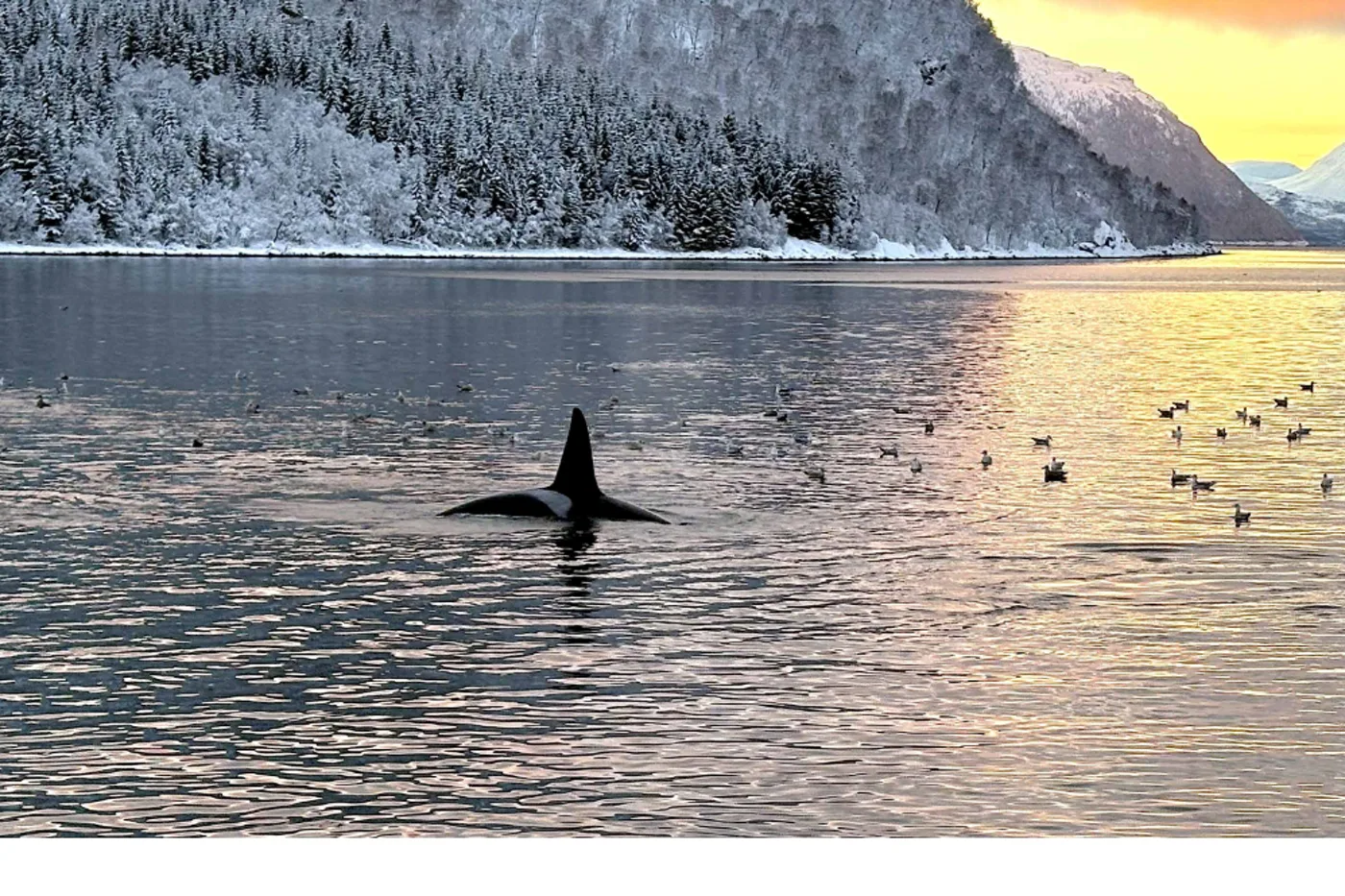 Lille Altafjord · Nordnorwegen