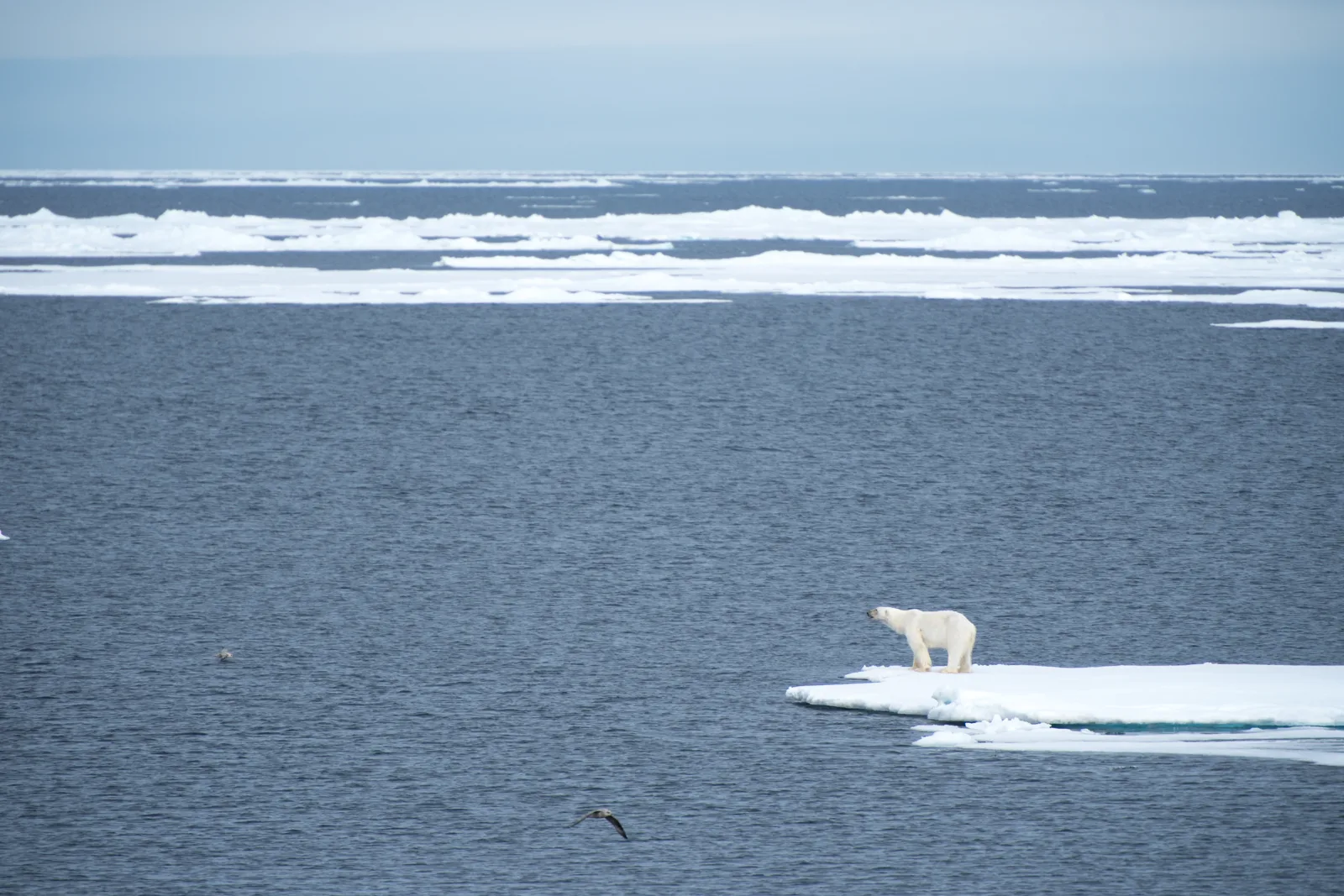 Spitzbergen Umrundung inkl. Nordaustlandet