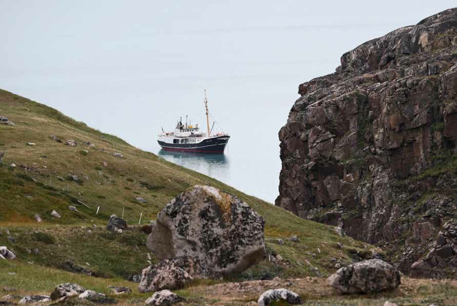 Die MS Cape Race liegt vor Anker zwischen grasbewachsenen Hängen in einem südgrönländischen Fjord