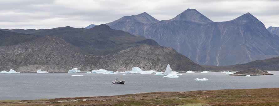 Blick von der Insel Uunartoq über den Fjord auf Eisberge und Berge