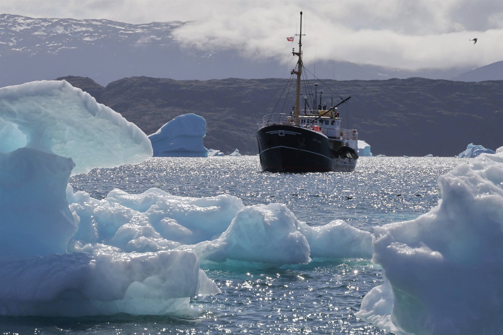 Notizen aus hohen Breiten: Diskobucht-Reise mit der CAPE RACE