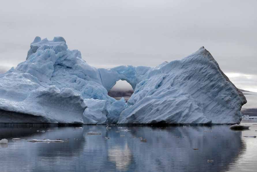 Zwölf Gäste, zwei Zodiacs und ein Plan, der sich jeden Morgen ändert — Ostgrönland mit der CAPE RACE