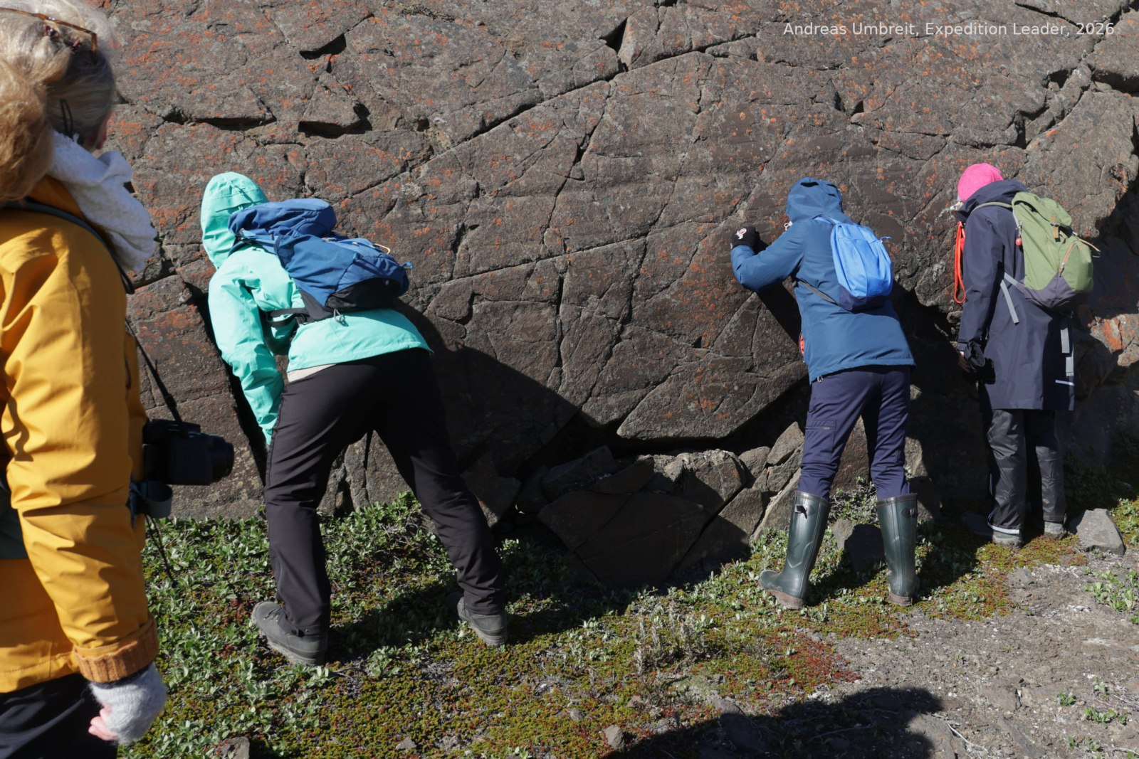 Reisegruppe untersucht mit beleuchteten Lupen Flechten an einer Felswand in Atanikerluk, Westgrönland