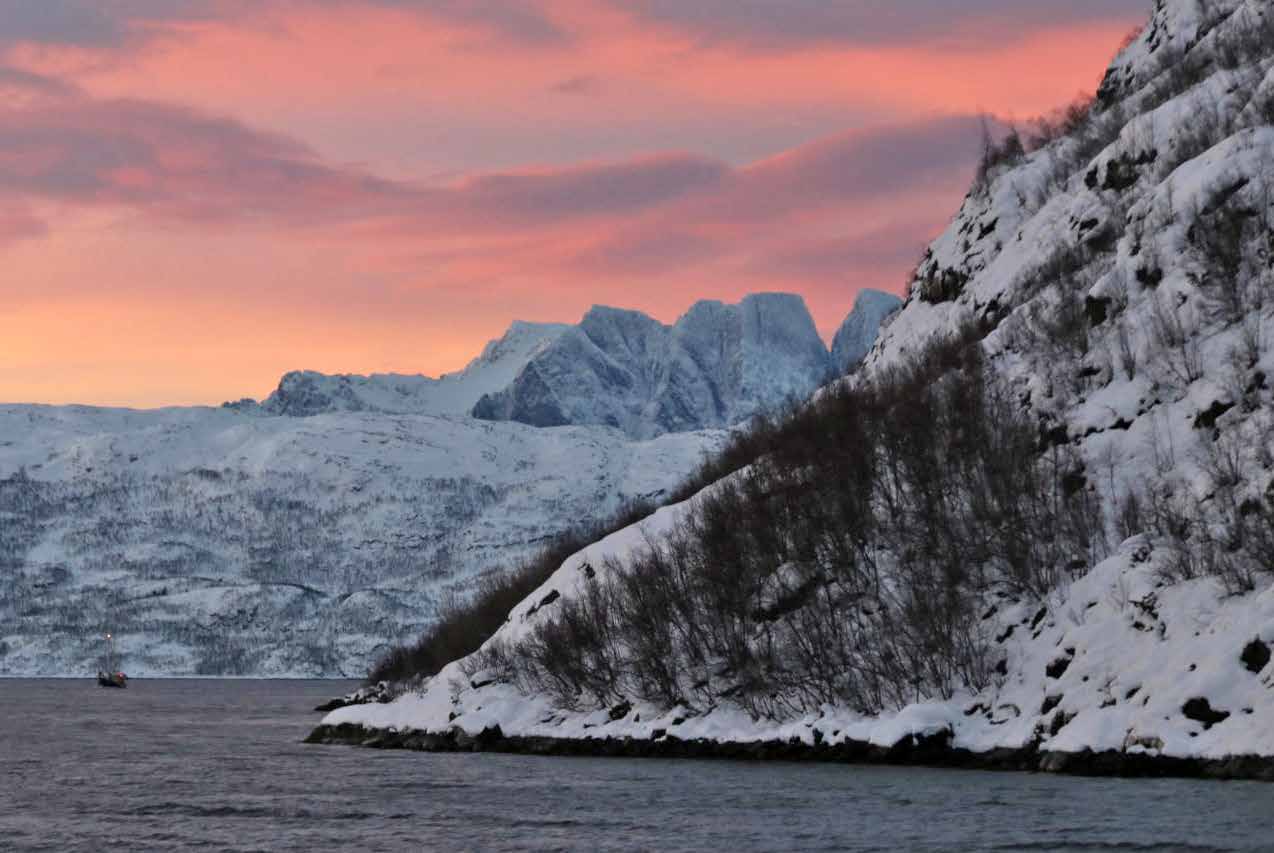 Rosa gefärbter Dämmerungshimmel über verschneiten Bergen am Fjord, in der Ferne ein kleines Schiff
