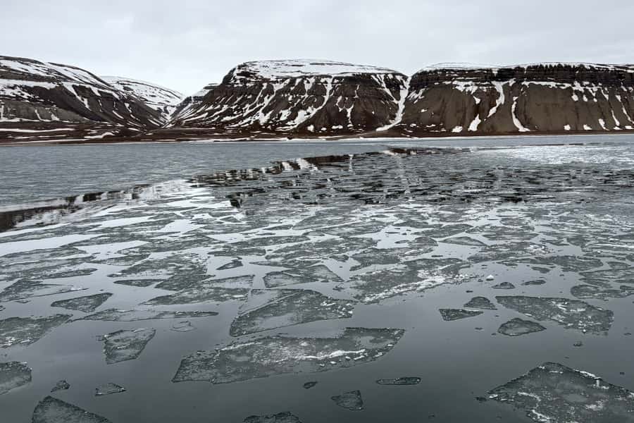 Spitzbergen Mitte Mai: Meereis, Walrosse und eine Kalbung am Kronebreen