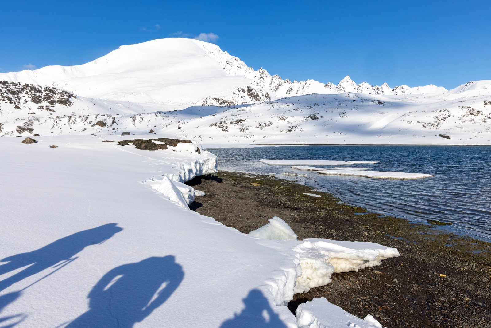 Schneebedeckte Ufer und teilweise gefrorene Bucht in Signehamna, Spitzbergen, Anfang Mai