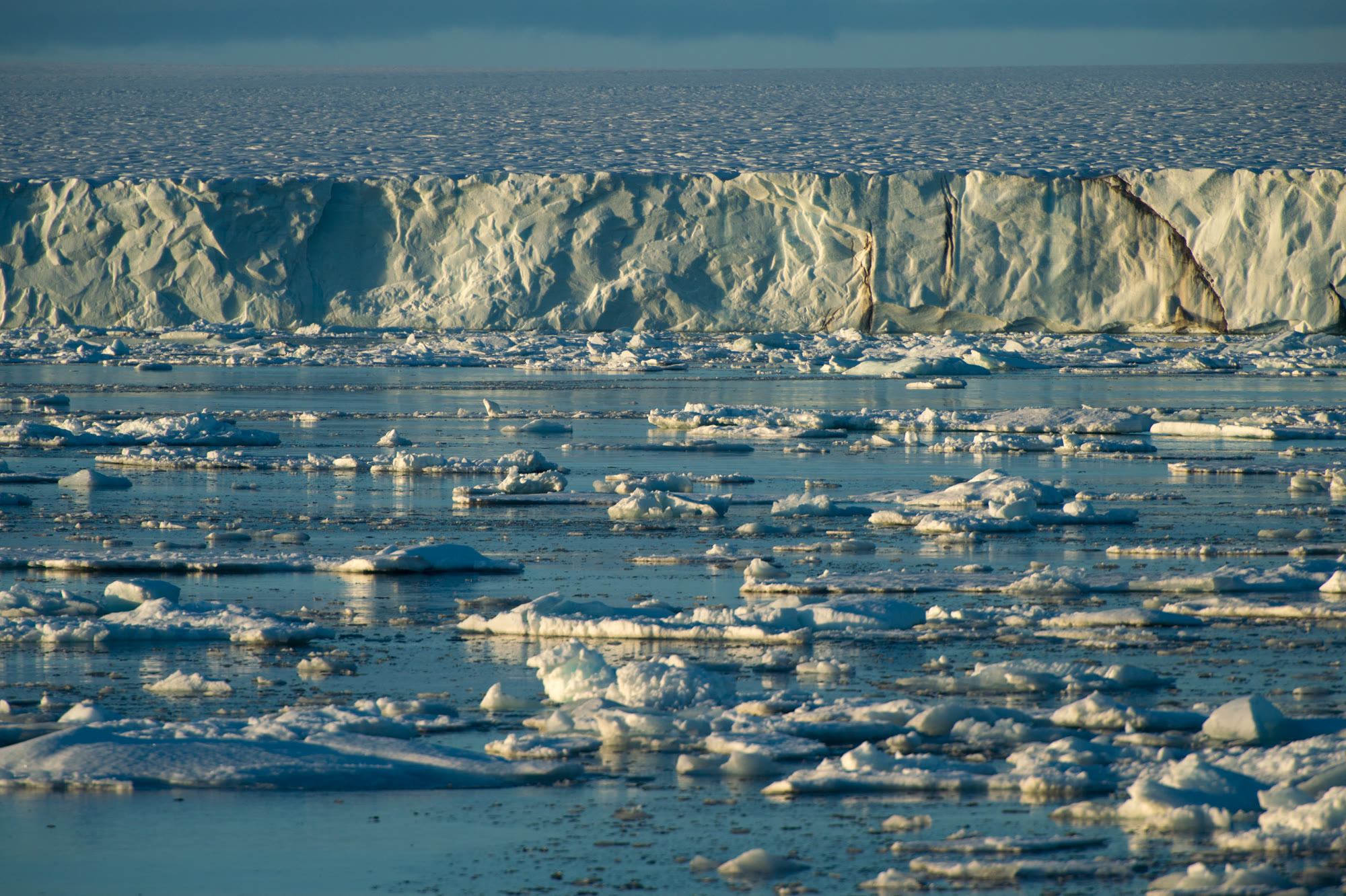 Gletscherfront mit Brucheis im Wasser davor