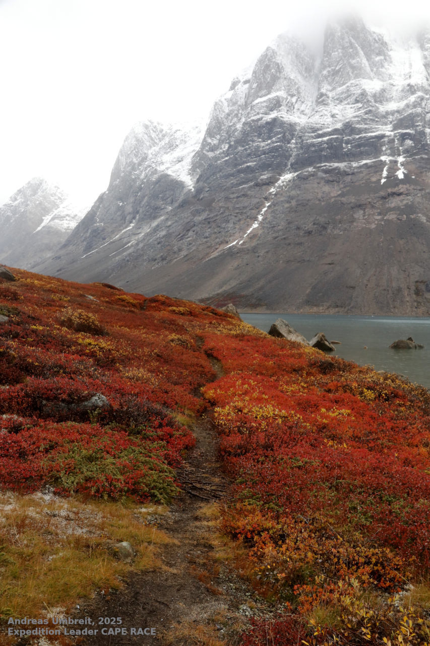 Notizen aus hohen Breiten: unbekannte tolle besuchte Plätze auf der letzten Ostgrönlandtour 2025 - Polar
