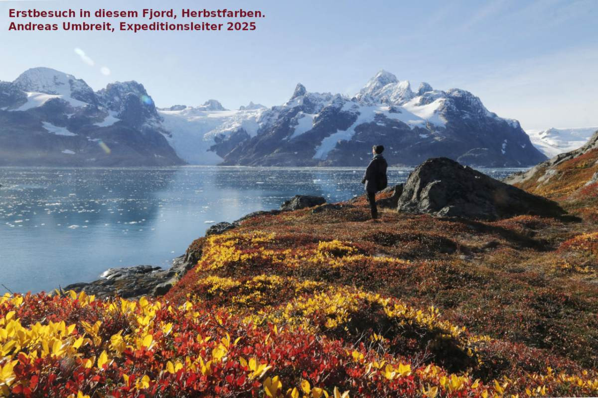 Notizen aus hohen Breiten | Mehr Expedition wagen ? - Polar