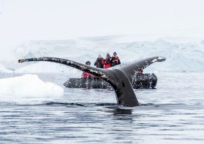 Neujahrs-Polarkreisüberquerung | MS OCEAN VICTORY