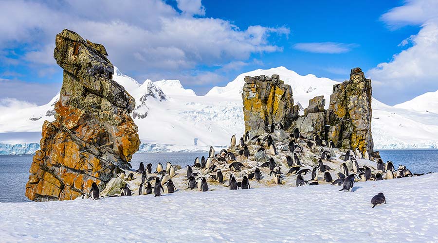 Antarktis mit Flug über die Drake Passage | MS OCEAN NOVA