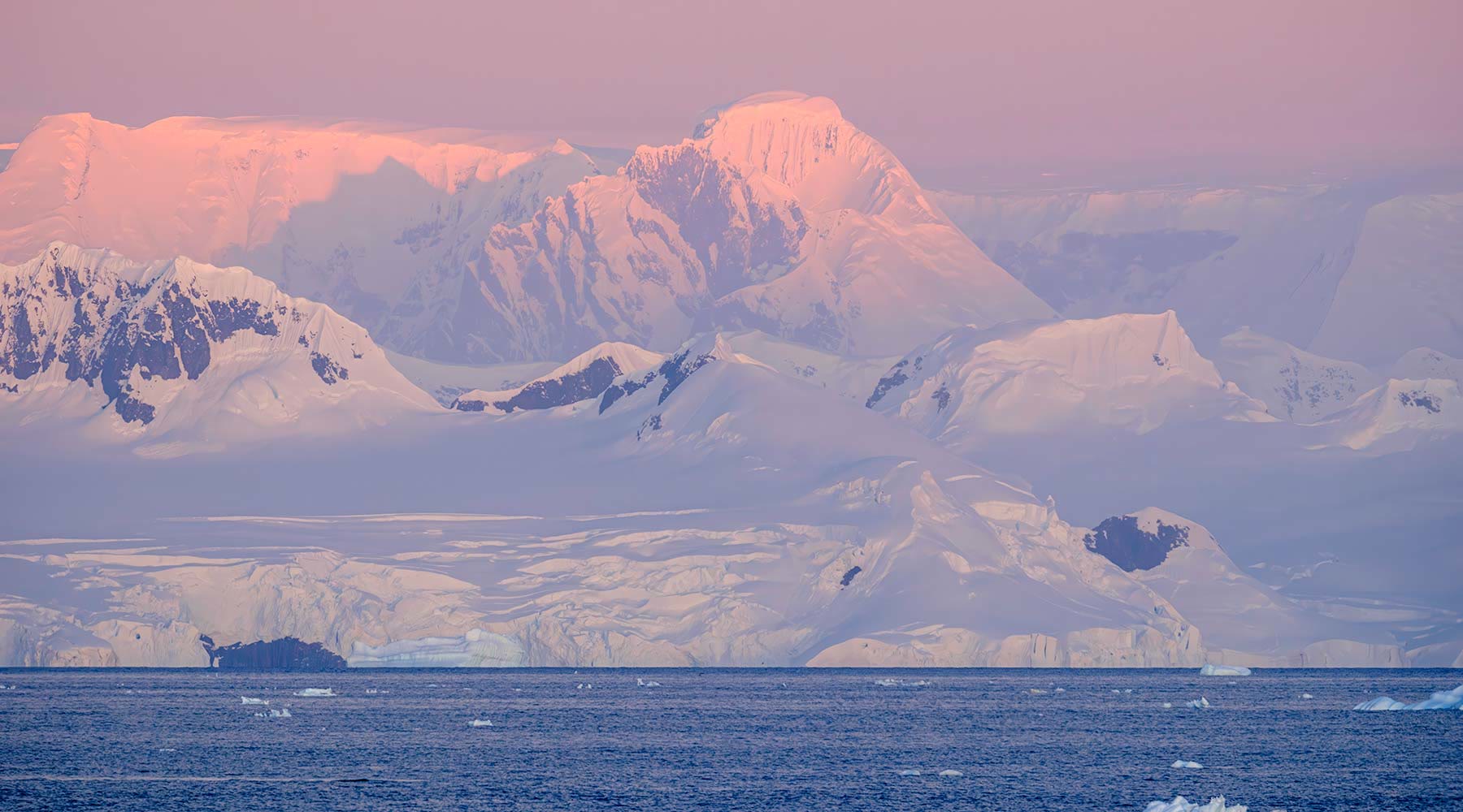 Antarktische Halbinsel: Die Klassische Expedition | MS OCEAN ALBATROS