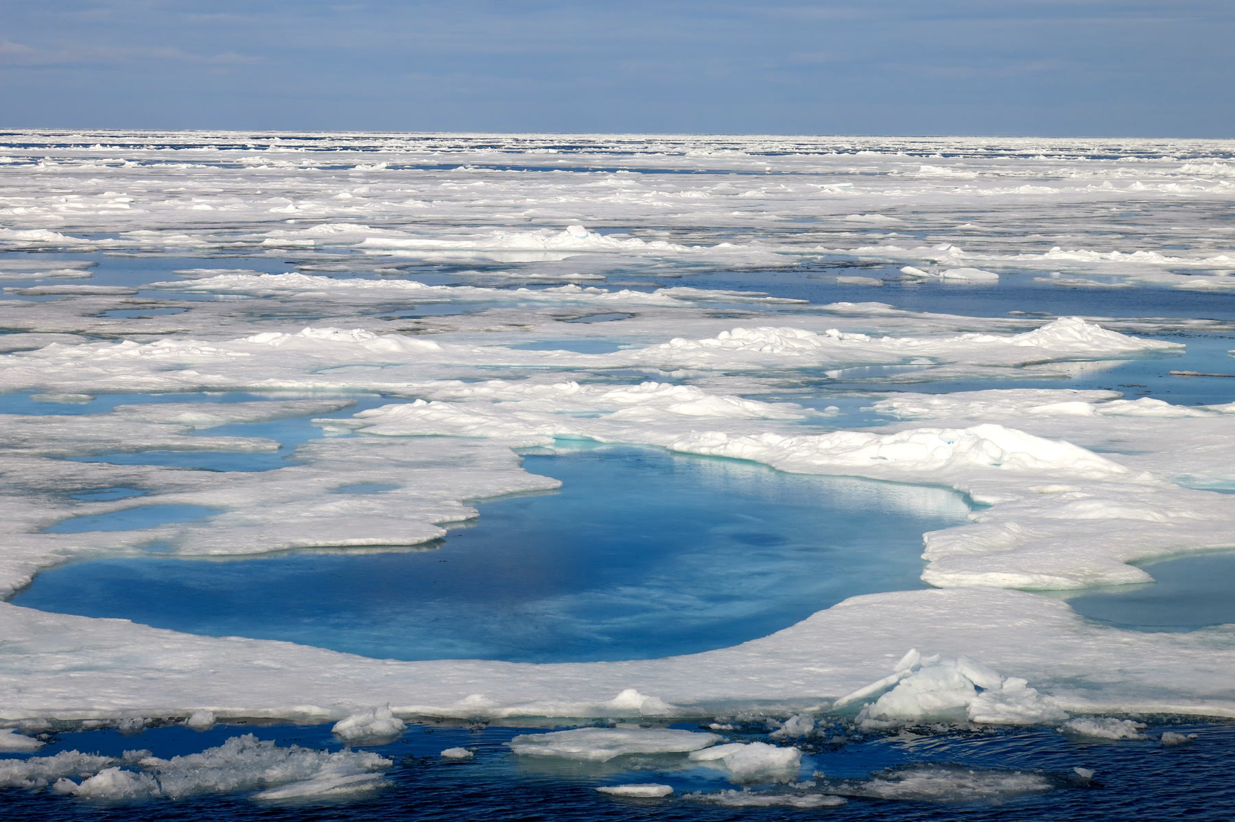 Packeis nördlich von Spitzbergen