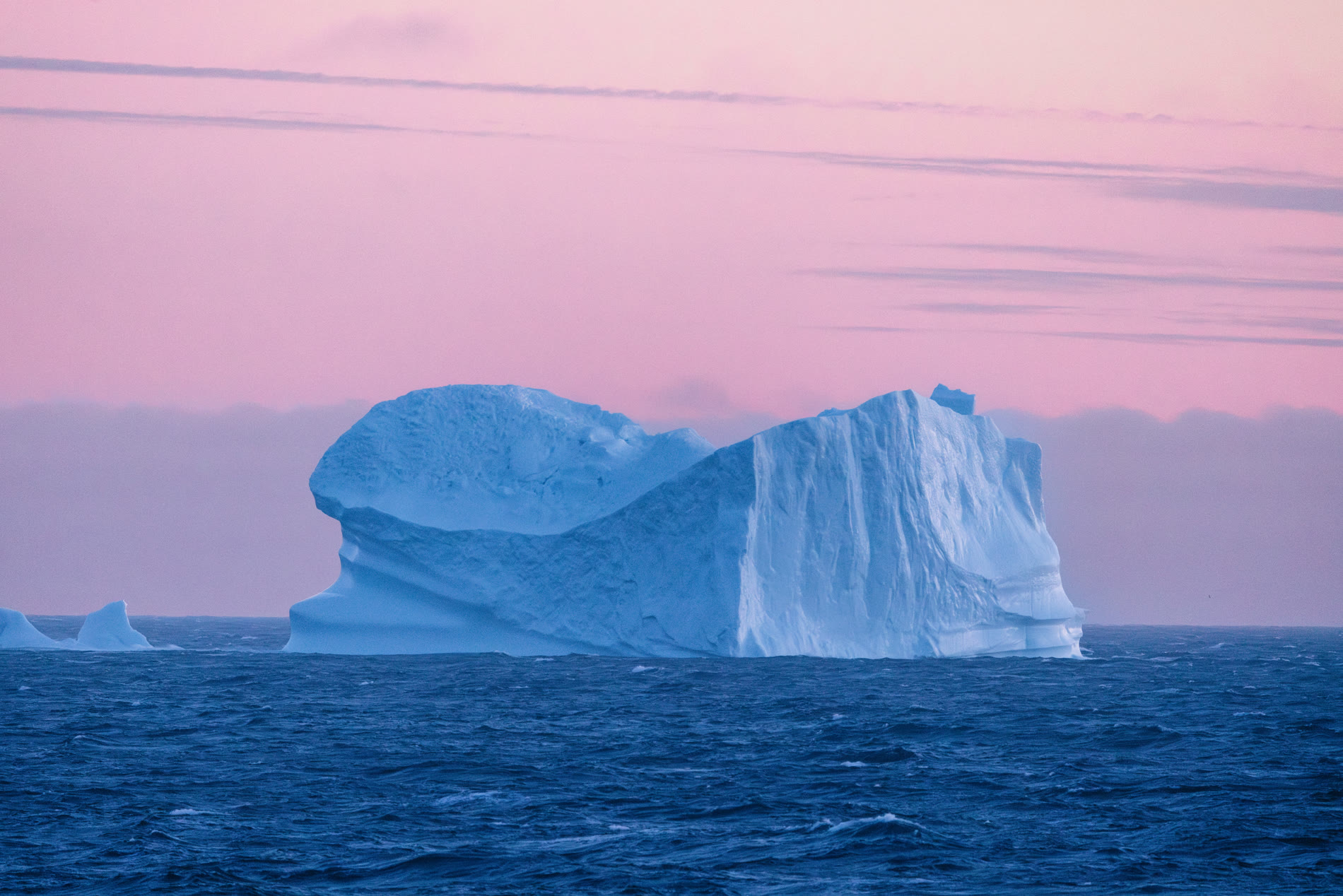High Arctic Expedition: Wo die Kunst auf das Land trifft | MS OCEAN NOVA