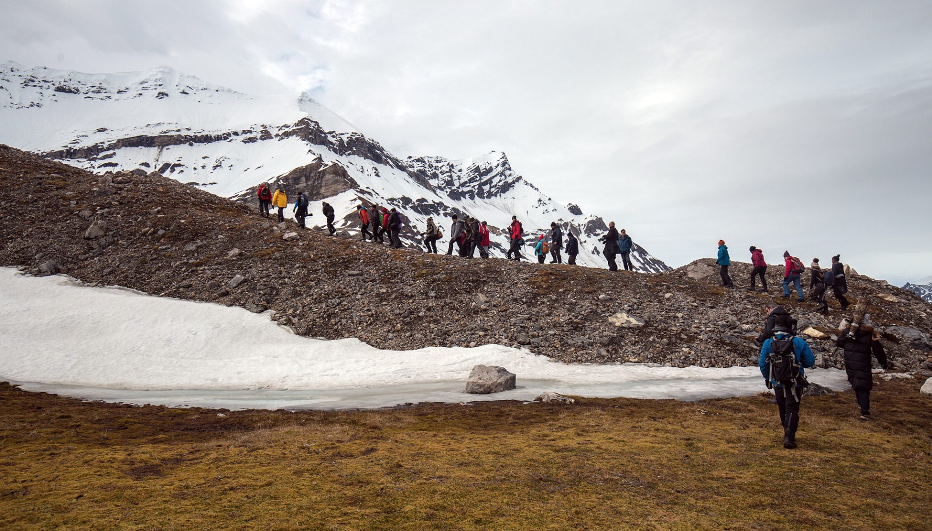 Rundum Spitzbergen, Arktischer Sommer