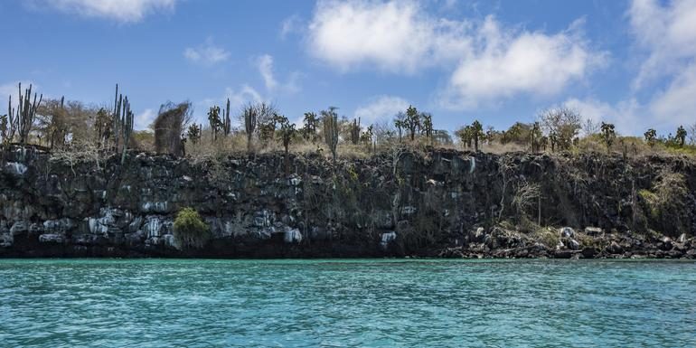 Galápagos – Süd- und Ostinseln entdecken | YOLITA