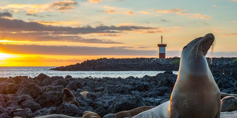 Galápagos – Zentral- und Ostinseln | REINA SILVIA VOYAGER