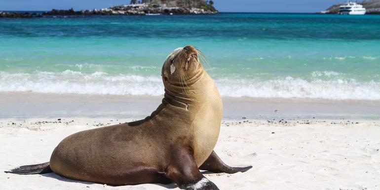 Galápagos – Norden, Westen & Inselmitte | YOLITA