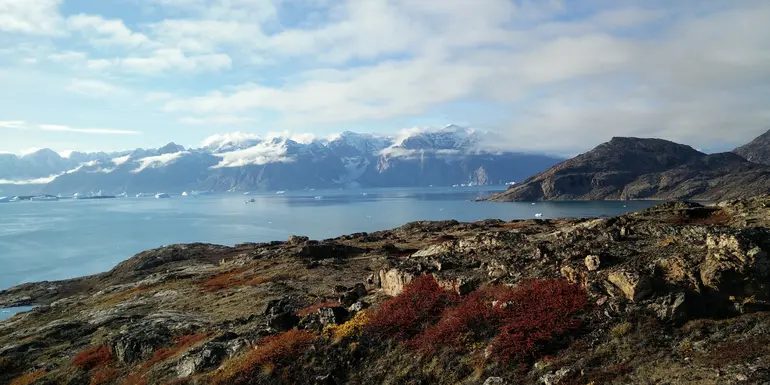 Nordatlantik-Expedition: Island, Grönland & Labrador | MS EXPEDITION