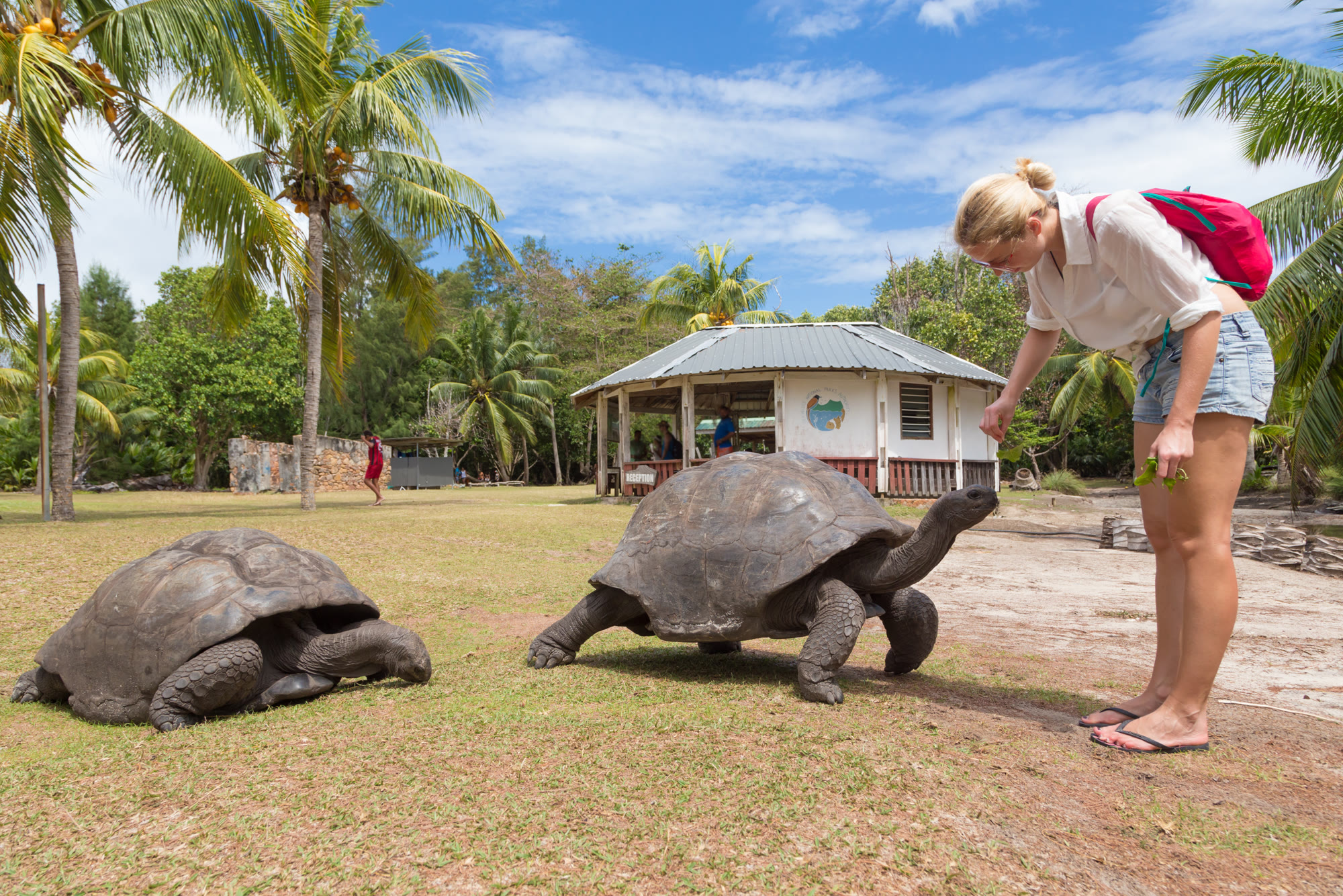 Galápagos – Norden, Westen & Inselmitte | YOLITA