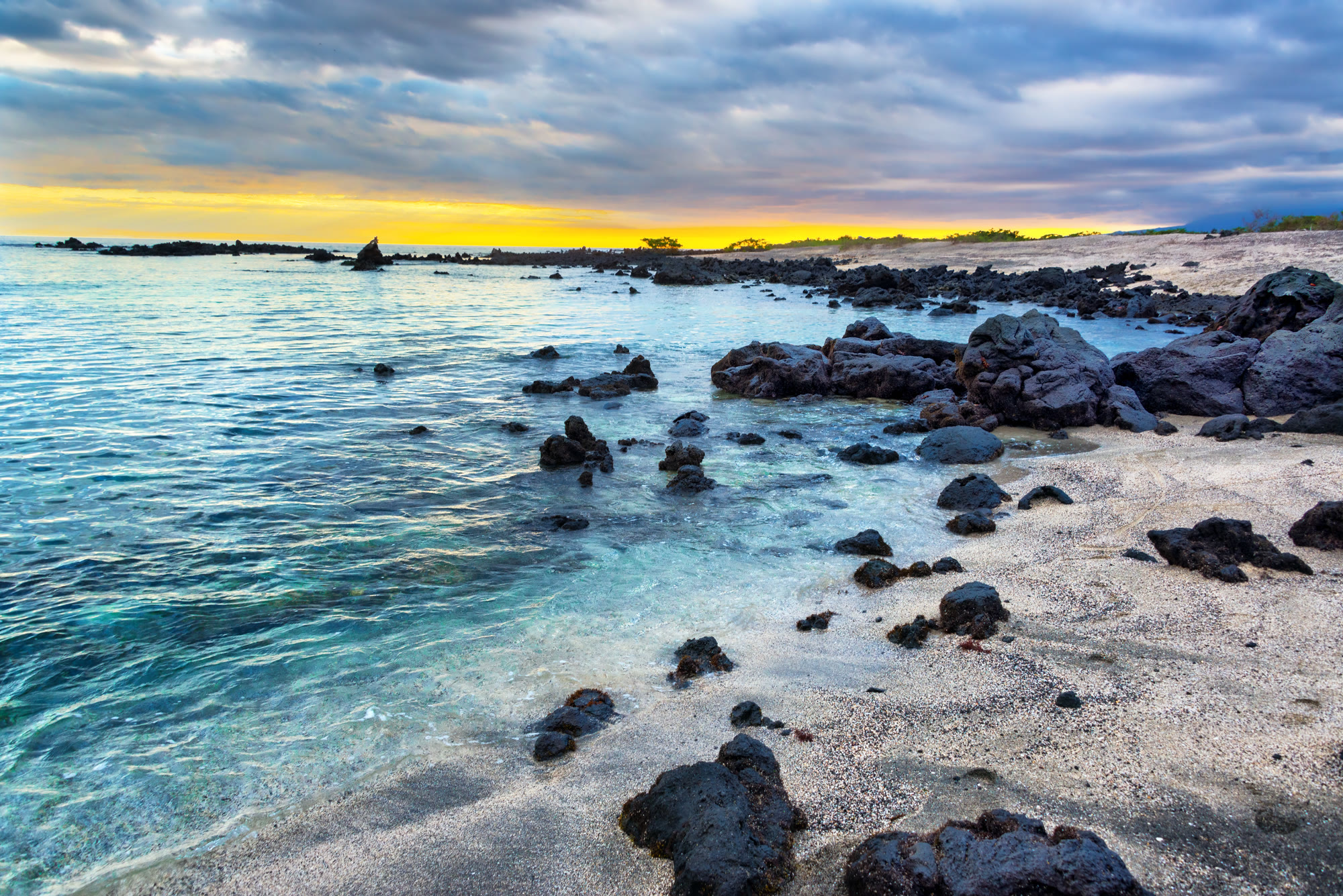 Galápagos entdecken – Die komplette Archipel-Expedition | YOLITA