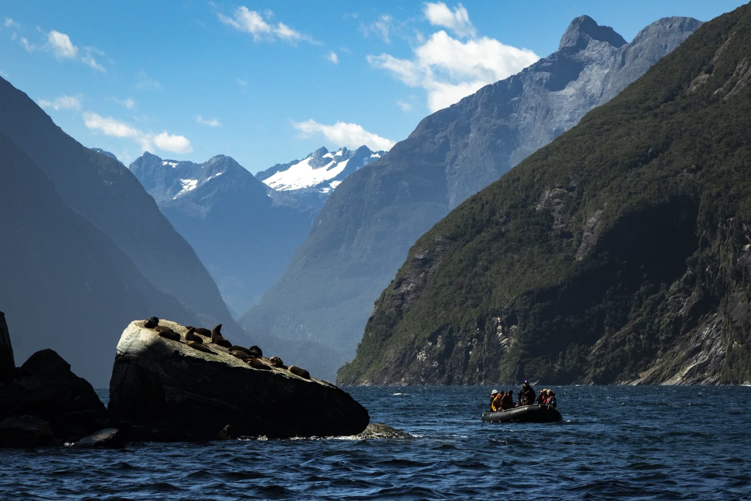Fiordland-Bergkulisse © Chris Todd