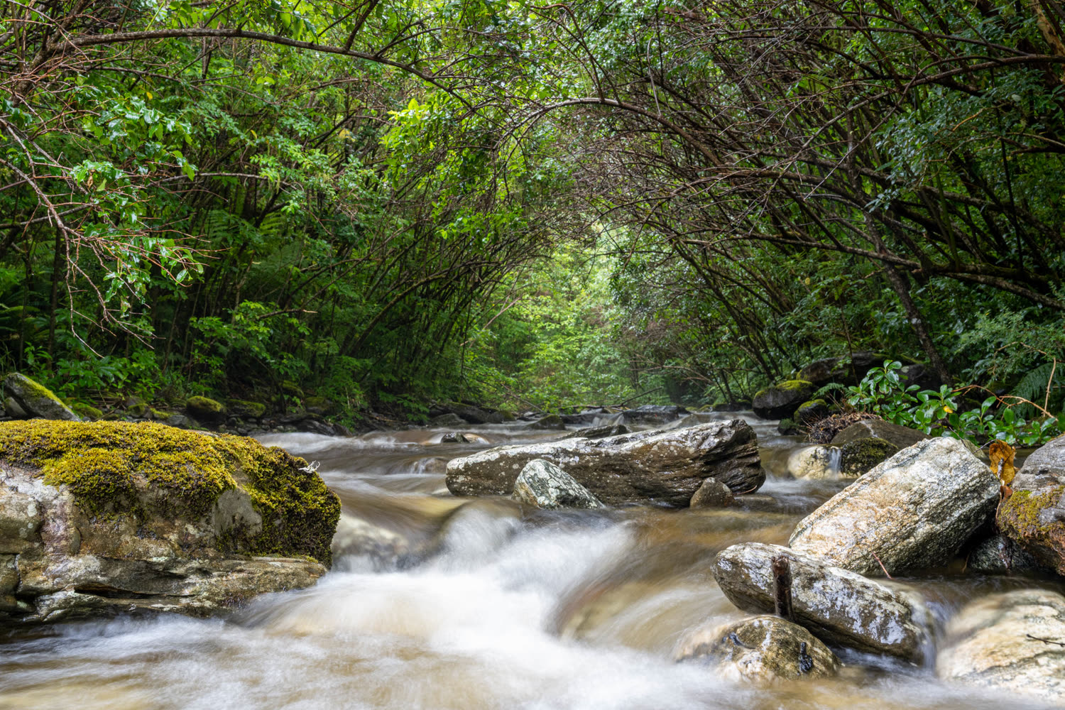 Fiordland © S. Bradley