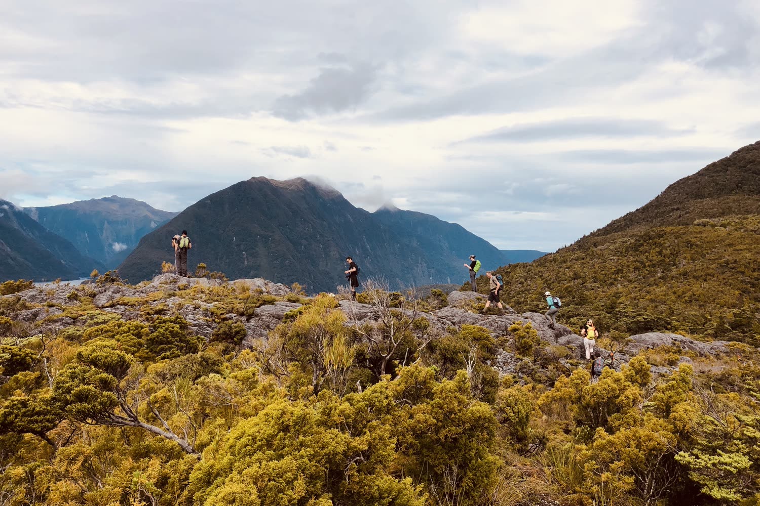 Secretary Island, Fiordland © C. Hill