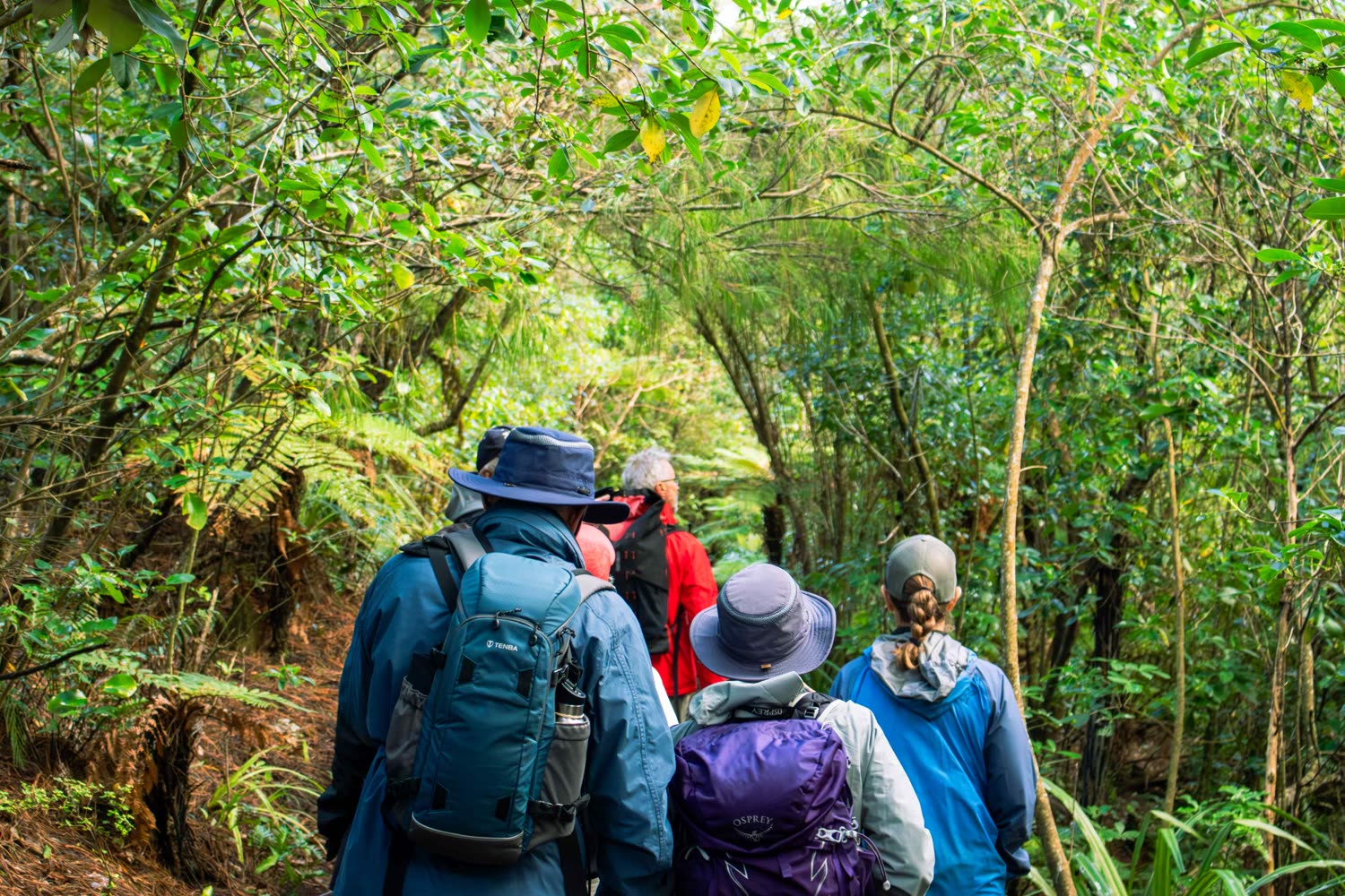 Ulva Island, Stewart Island © S. Dunlay