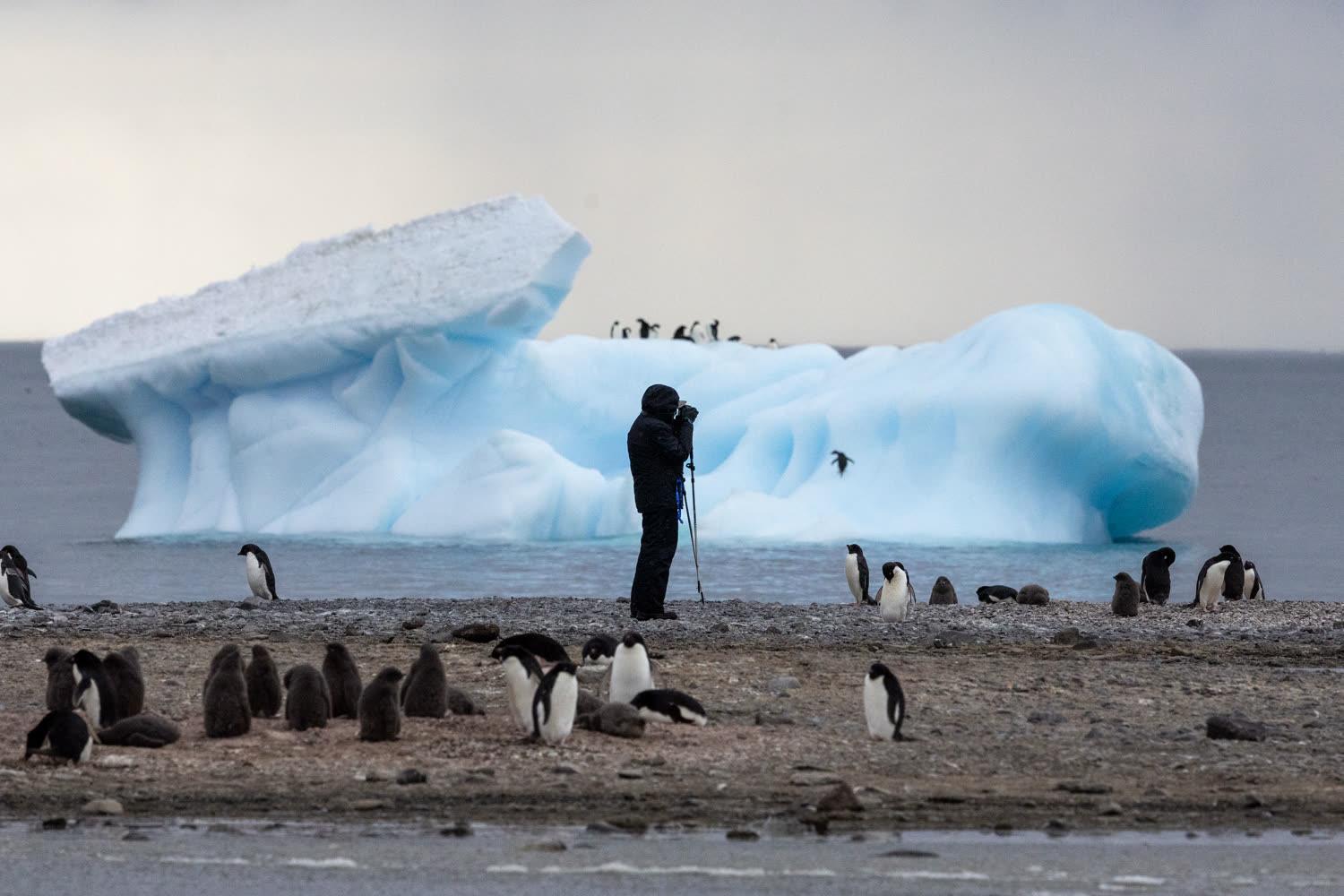 Franklin Island © C. Finch