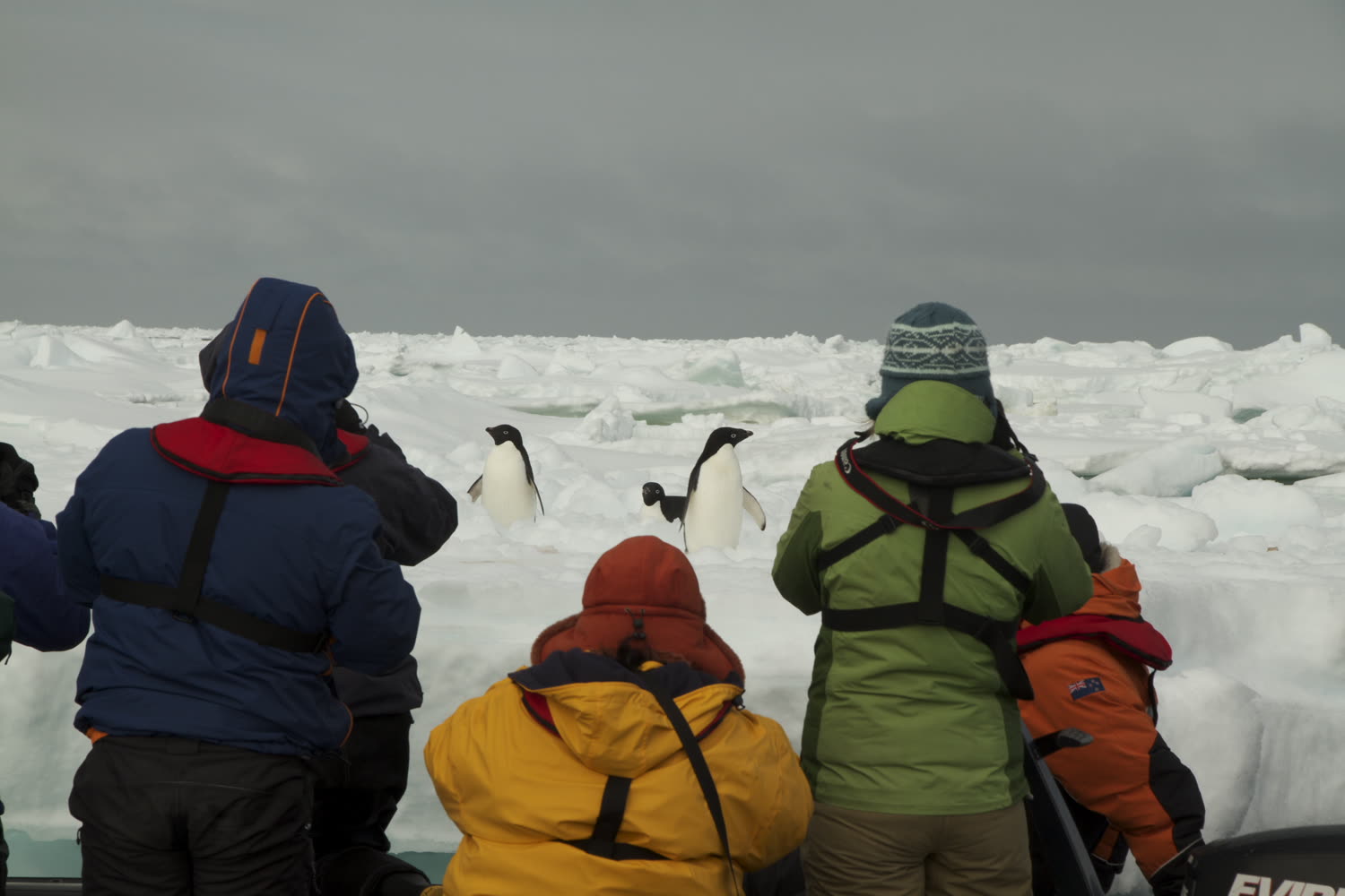 Anlandung im Packeis © Heritage Expeditions