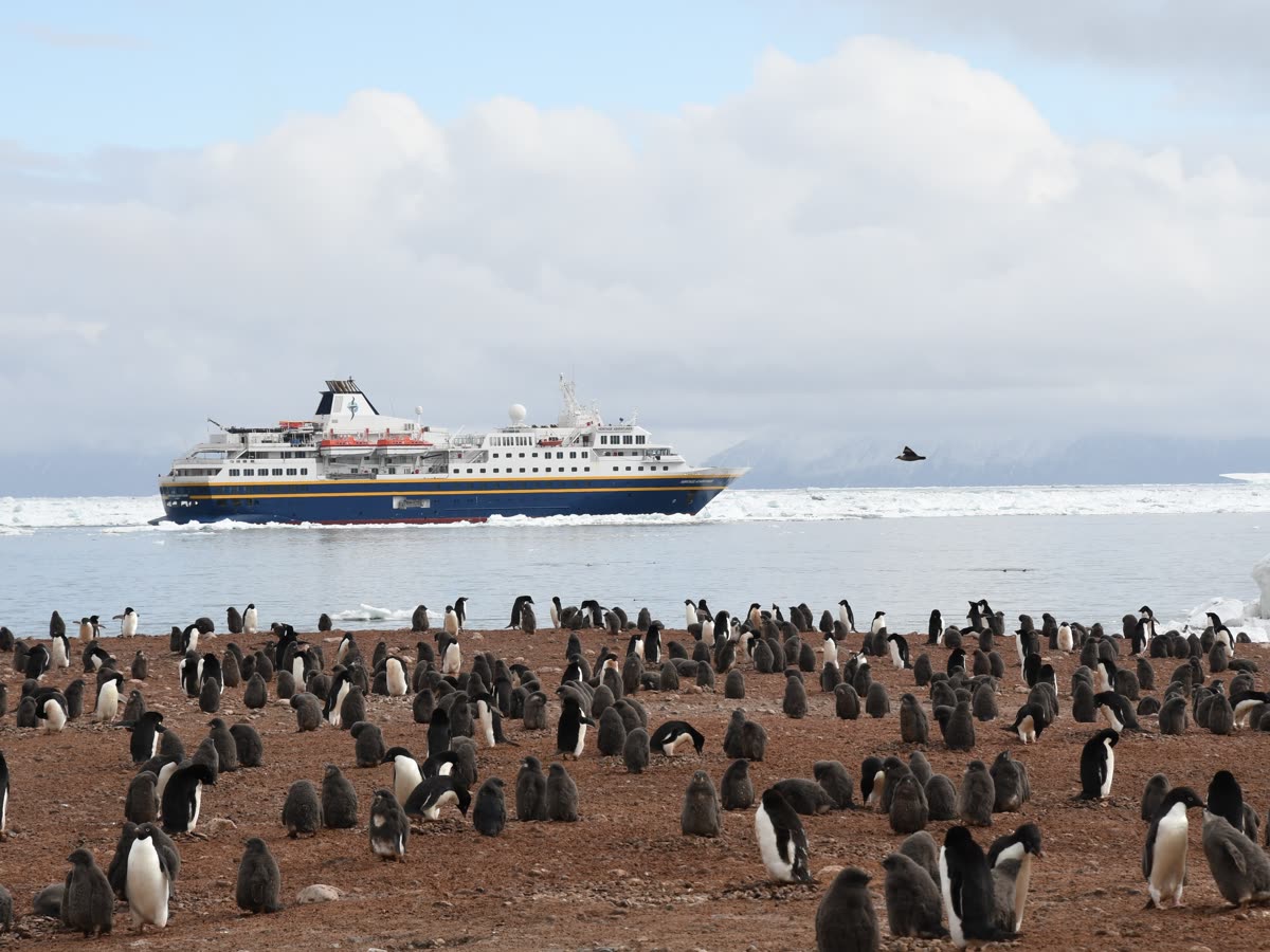 Auf den Spuren von Scott und Shackleton | MS HERITAGE ADVENTURER
