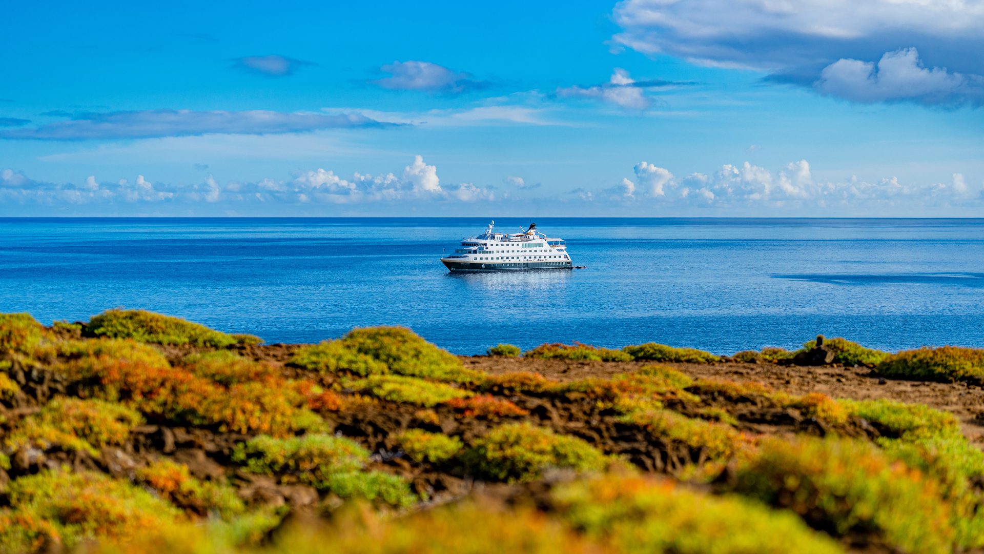 Expeditions-Seereise zu den Galápagos-Inseln – Die neun schönsten Inseln (West- und Nordroute) | MS SANTA CRUZ II