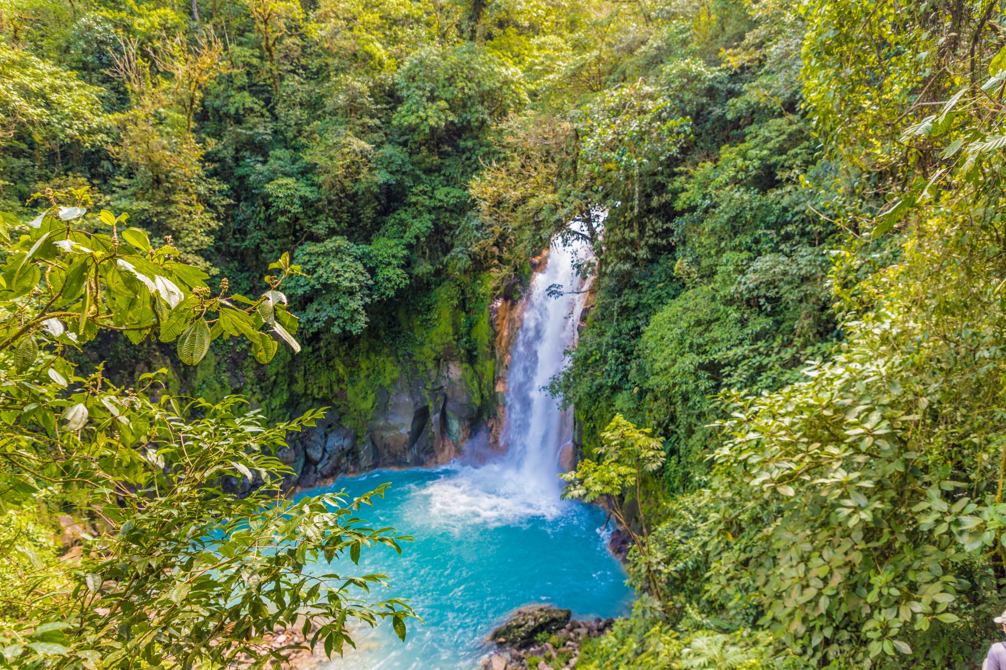 Costa Rica: Sternstunden