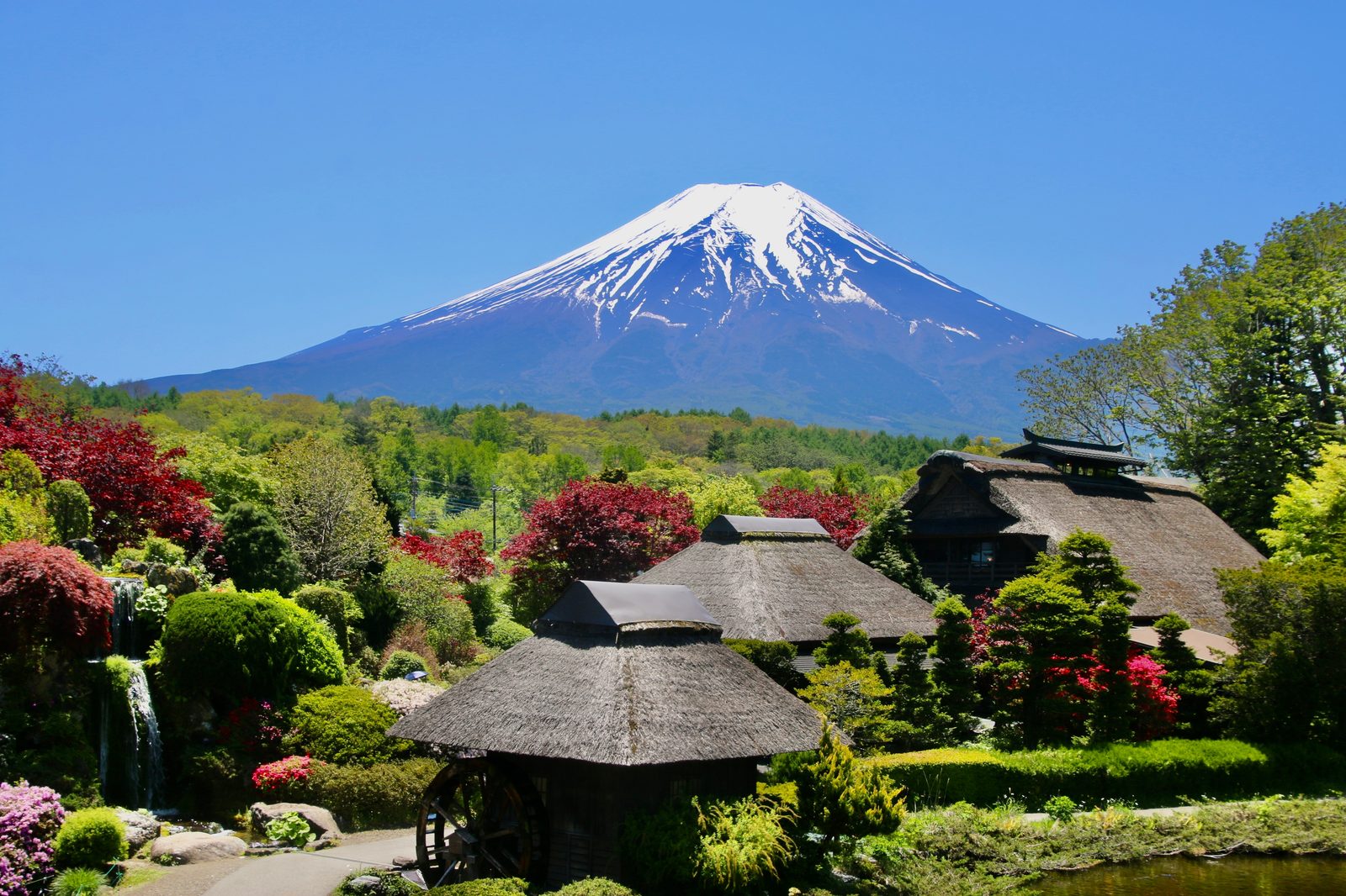 Japan: Sternstunden