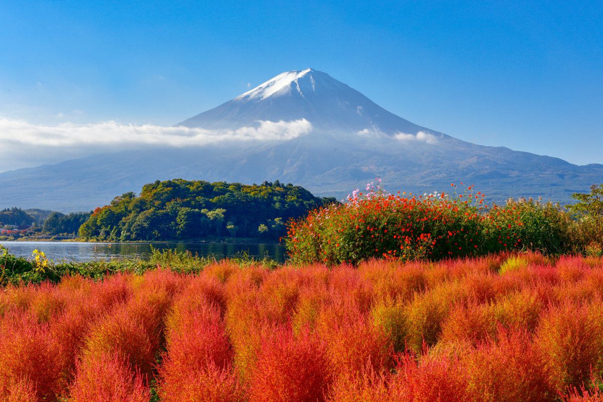JP JPRZEN Oishi Parkshutterstock